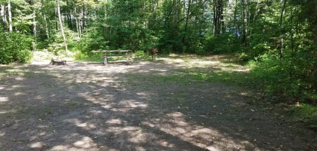 Site #22