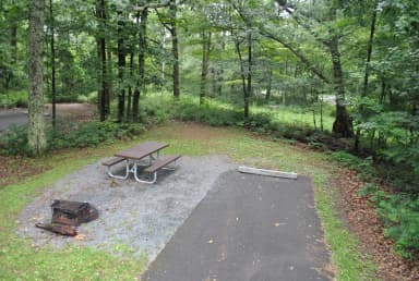 Mathews Arm Campground – Site A014