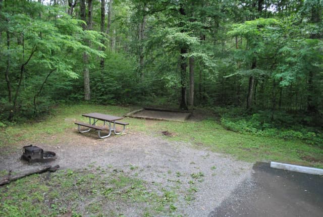 Mathews Arm Campground – Site A015