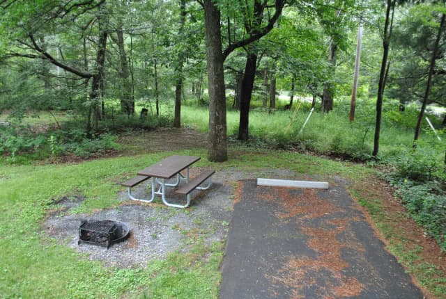 Mathews Arm Campground – Site A016