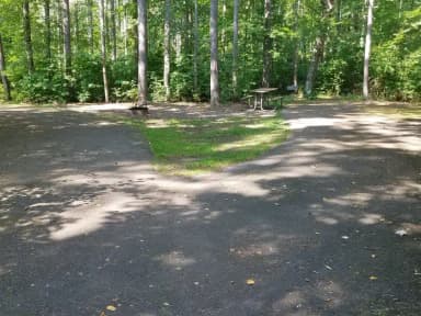 Loop PAPE · Site 023 at Day Lake