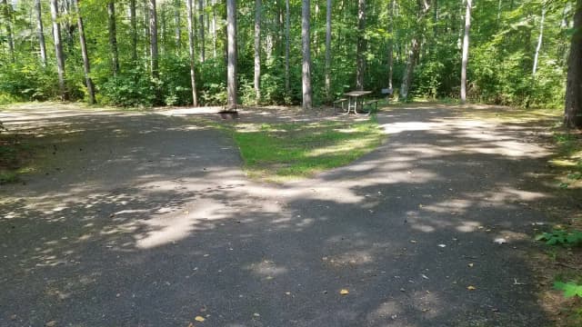 Site #23