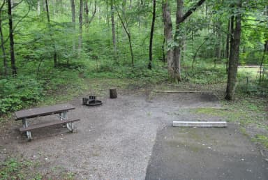 A      - 4 Day Advance Purchase · Site A017 at Mathews Arm Campground