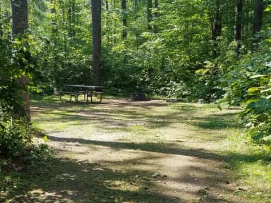 Loop PAPE · Site 025 at Day Lake