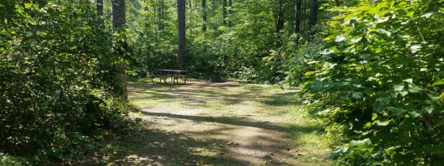 Site #25