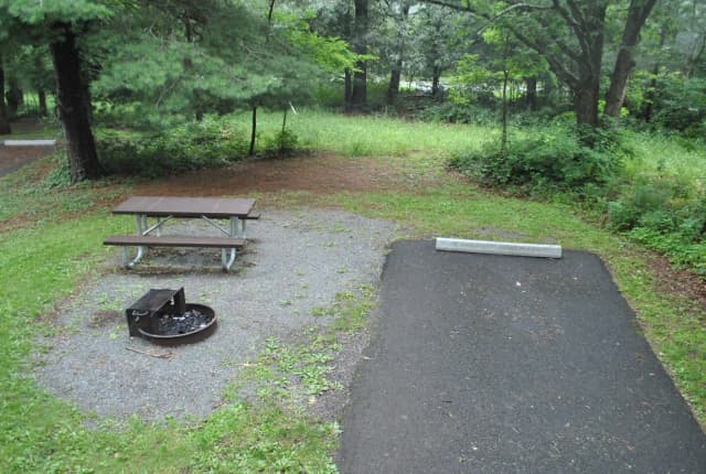 Mathews Arm Campground – Site A018