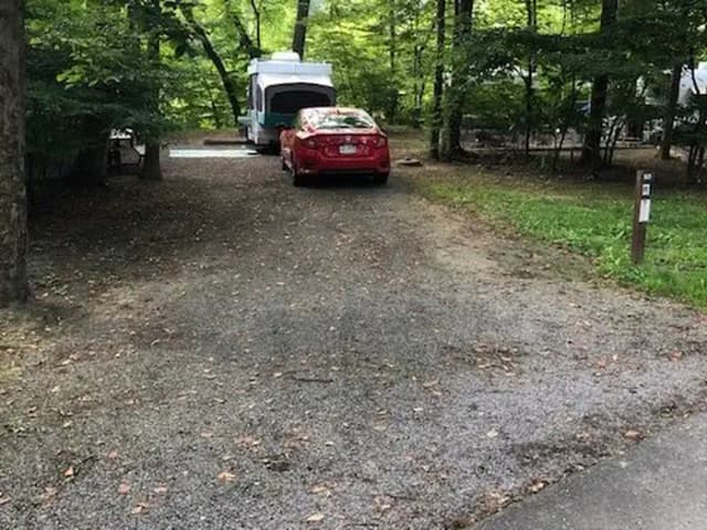Loop 3 · Site 050 at Tionesta Rec. Area Campground