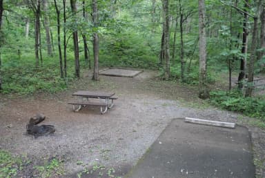 Mathews Arm Campground – Site A019