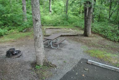 Mathews Arm Campground – Site A020