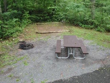 A      - 4 Day Advance Purchase · Site A021 at Mathews Arm Campground