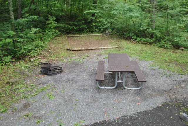 Mathews Arm Campground – Site A021