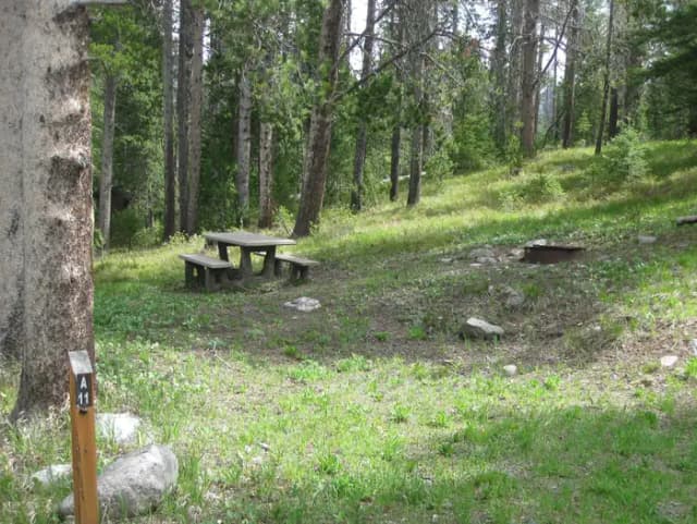 Site A11, campsite surrounded by pine trees, picnic table & fire ring