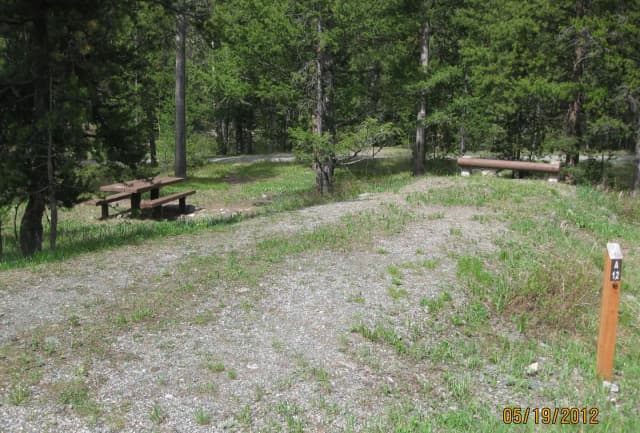 Site A12, campsite surrounded by pine trees, picnic table & fire ring