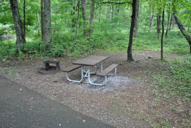 Mathews Arm Campground – Site A022