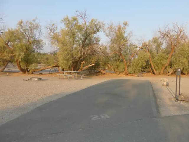 Furnace Creek Campground standard nonelectric site #28 with picnic table and fire ring.