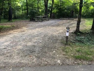 Loop 2 · Site 057 at Tionesta Rec. Area Campground