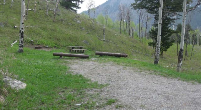 Site A10, campsite surrounded by pine trees, picnic table & fire ring