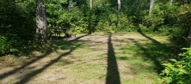 Site #37