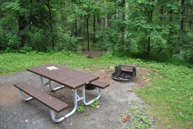 Mathews Arm Campground – Site A024