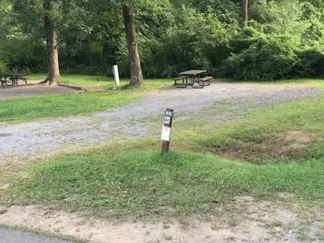 Site 062 at Tionesta Rec. Area Campground