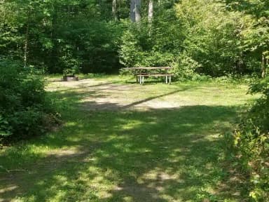 Loop REDP · Site 038 at Day Lake