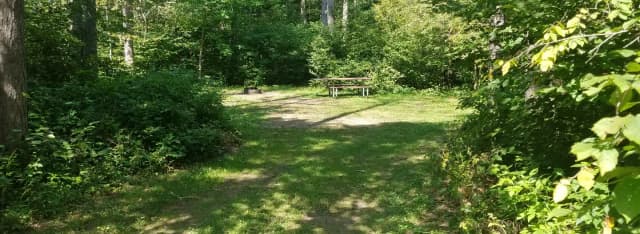 Site #38