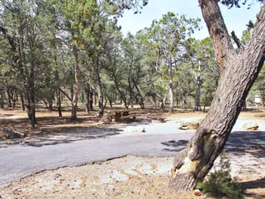 Picnic table, fire pit, and parking spot, Mather Campground