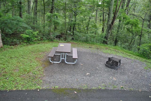 Mathews Arm Campground – Site A025