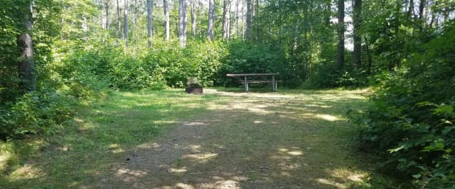 Site 46 Muskie Summer