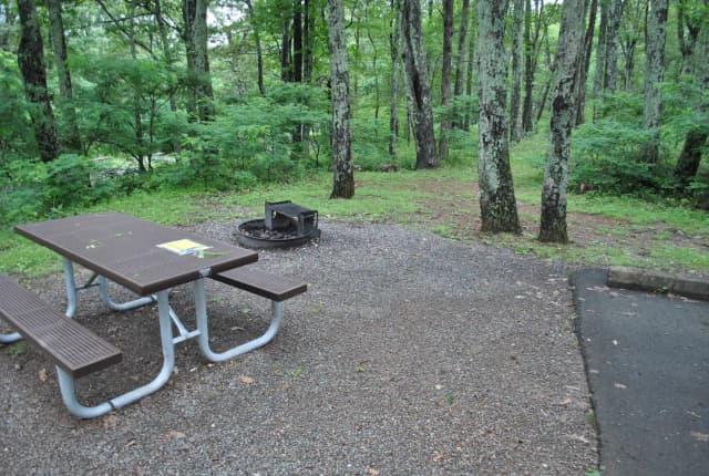 Mathews Arm Campground – Site A026