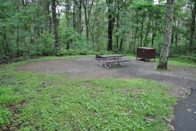Mathews Arm Campground – Site A027
