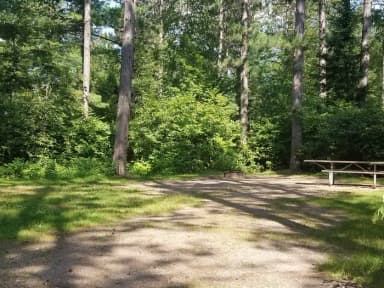 Loop MUSK · Site 049 at Day Lake