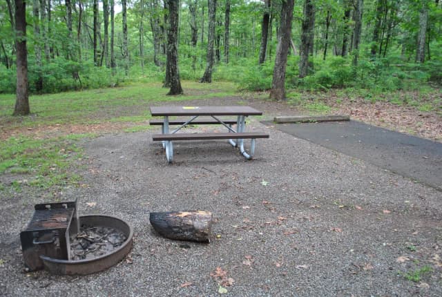 Mathews Arm Campground – Site A028