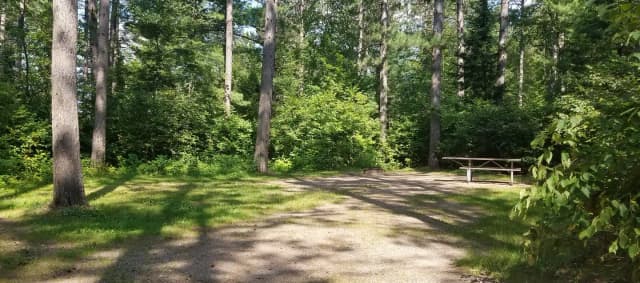 Site #49