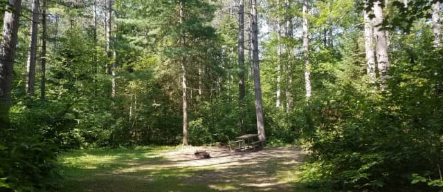 Site #50