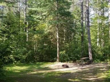 Loop MUSK · Site 050 at Day Lake