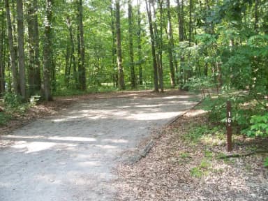 Loop OAK · Site O16 at Mill Creek Camping (Berlin Lake)