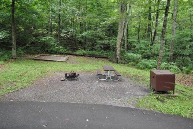 Mathews Arm Campground – Site A029