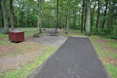 Mathews Arm Campground – Site A030