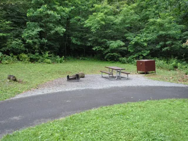 Mathews Arm Campground – Site A031