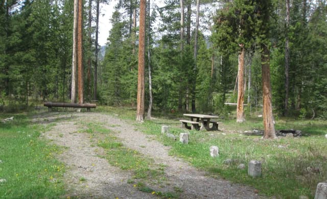 Site A17, campsite surrounded by pine trees, picnic table & fire ring