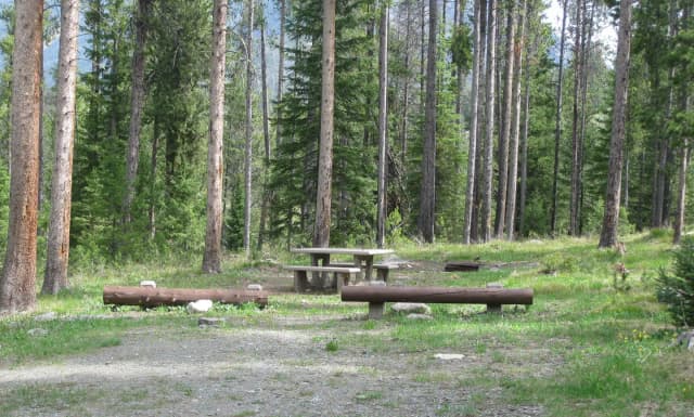Site A18, campsite surrounded by pine trees, picnic table & fire ring