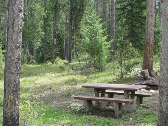 Site A19, campsite surrounded by pine trees, picnic table & fire ring