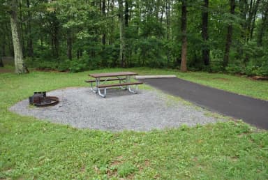 Mathews Arm Campground – Site A032