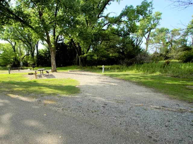 C 07