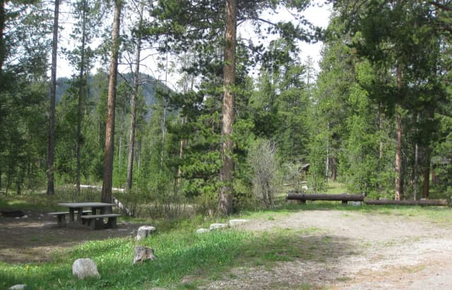 Site A20, campsite surrounded by pine trees, picnic table & fire ring