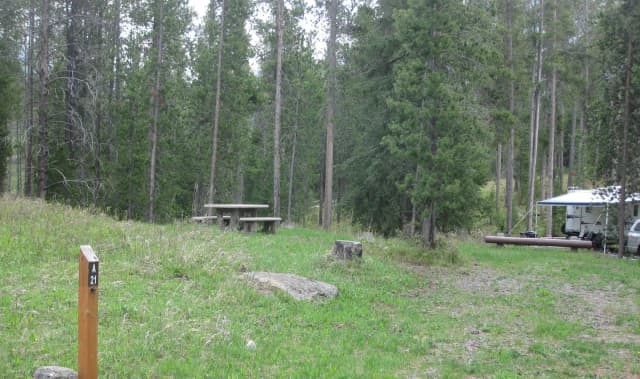 Site A21, campsite surrounded by pine trees, picnic table & fire ring
