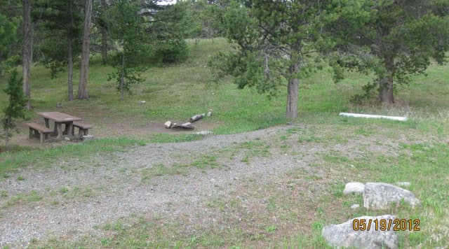 Site A22, campsite surrounded by pine trees, picnic table & fire ring