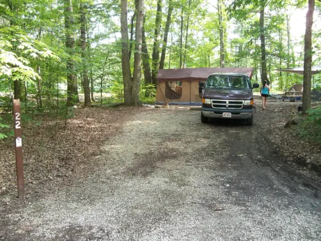 Oak 22
