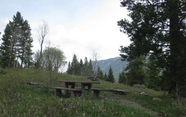 Site A23, campsite surrounded by pine trees, picnic table & fire ring